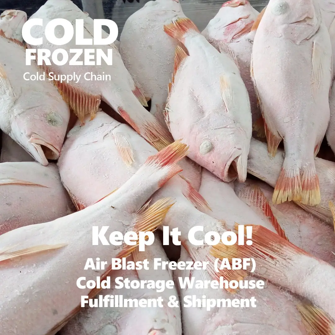 Frozen Fish Cold Storage Warehouse and fulfillment service, rantai pasok teknologi, cold storage jakarta, sewa cold storage